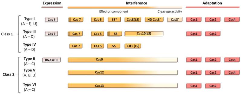 https://cdn.ncbi.nlm.nih.gov/pmc/blobs/8ecc/8300728/537bf4e18cfb/antibiotics-10-00756-g001.jpg
