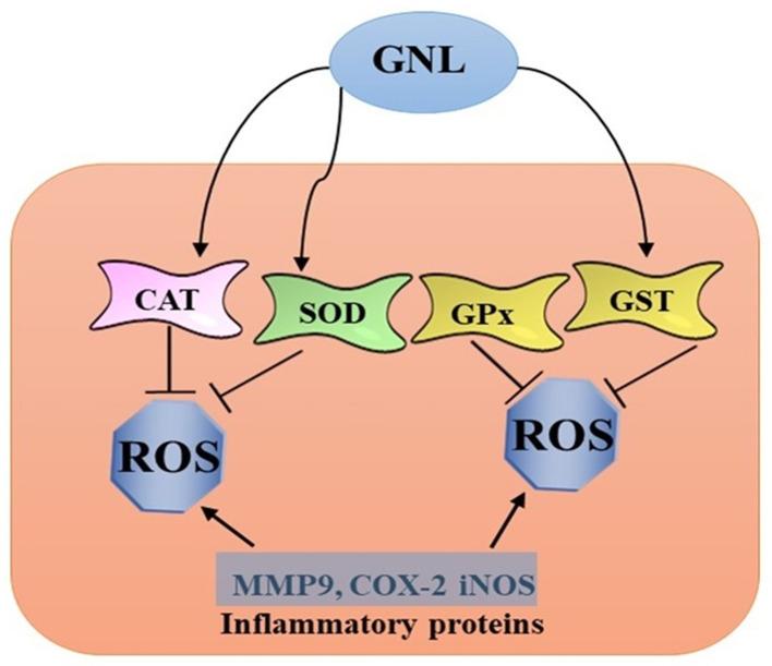 https://cdn.ncbi.nlm.nih.gov/pmc/blobs/8ee3/10180430/f3dc9ed5e60d/molecules-28-03669-g002.jpg