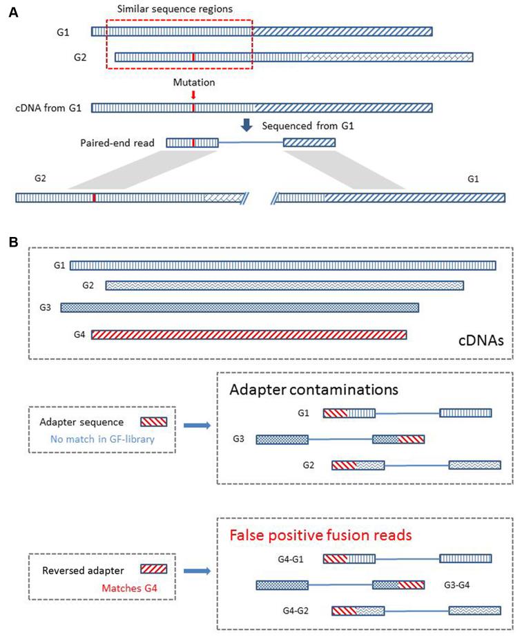 https://cdn.ncbi.nlm.nih.gov/pmc/blobs/8ee4/5737728/48de2d9338a0/gkx315fig3.jpg