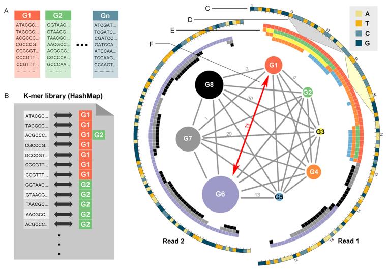 https://cdn.ncbi.nlm.nih.gov/pmc/blobs/8ee4/5737728/7556a0fbf7bd/gkx315fig1.jpg