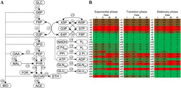 https://cdn.ncbi.nlm.nih.gov/pmc/blobs/8ee6/3986597/c0f05107d0ab/1475-2859-13-48-2.jpg