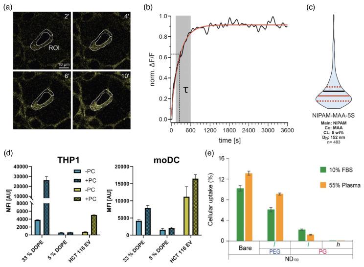 https://cdn.ncbi.nlm.nih.gov/pmc/blobs/8eea/12390004/676604fbc16d/polymers-17-02243-g013.jpg