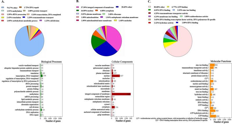https://cdn.ncbi.nlm.nih.gov/pmc/blobs/8f25/12377360/776c6150bf6e/peerj-13-19848-g001.jpg