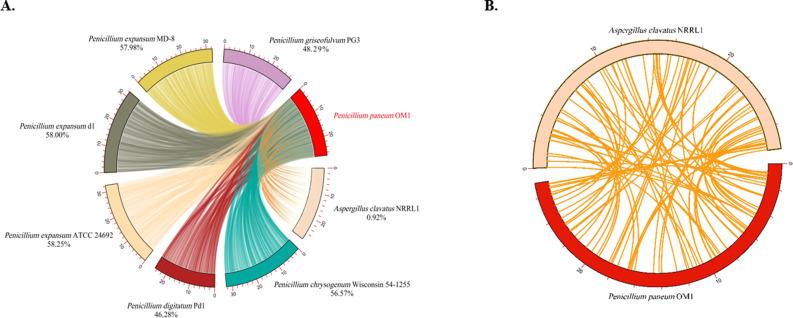 https://cdn.ncbi.nlm.nih.gov/pmc/blobs/8f25/12377360/aeb7ec5857dc/peerj-13-19848-g004.jpg