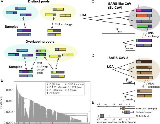 https://cdn.ncbi.nlm.nih.gov/pmc/blobs/8f31/9945976/8abc585236d7/pnas.2206945119fig04.jpg