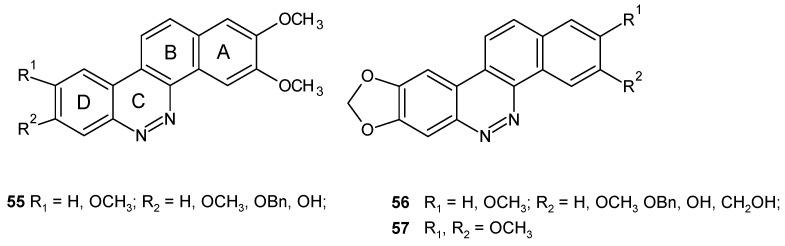 https://cdn.ncbi.nlm.nih.gov/pmc/blobs/8f42/6631947/b2acc67efaee/molecules-24-02271-g029.jpg