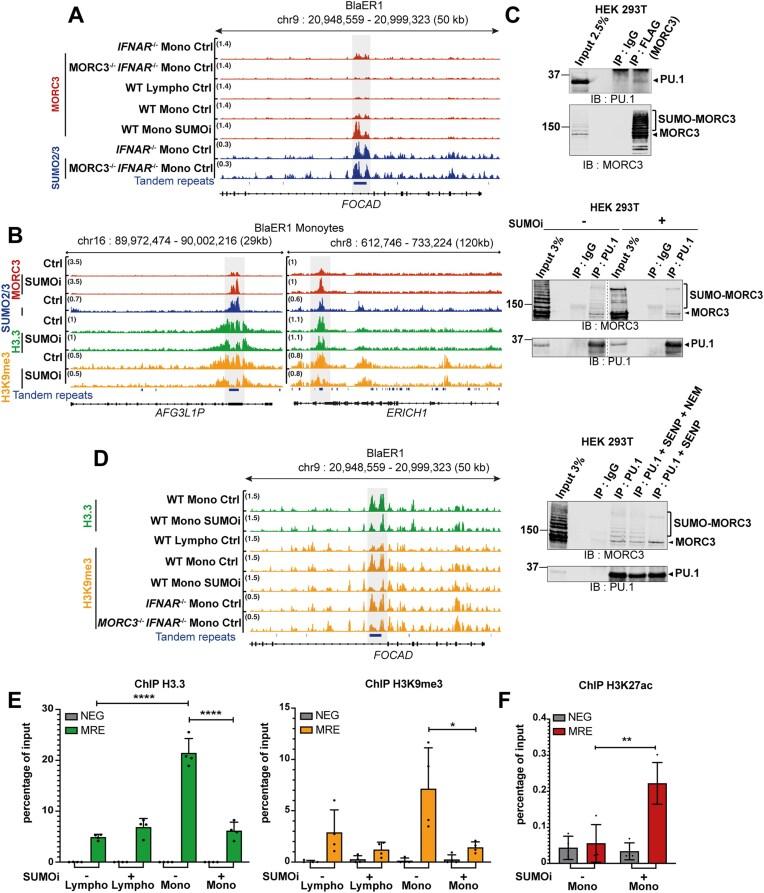 https://cdn.ncbi.nlm.nih.gov/pmc/blobs/8f95/12311797/b6888ef8c464/gkaf750fig5.jpg