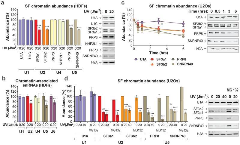 https://cdn.ncbi.nlm.nih.gov/pmc/blobs/8fa1/4501432/af5928065b94/emss-63419-f0011.jpg