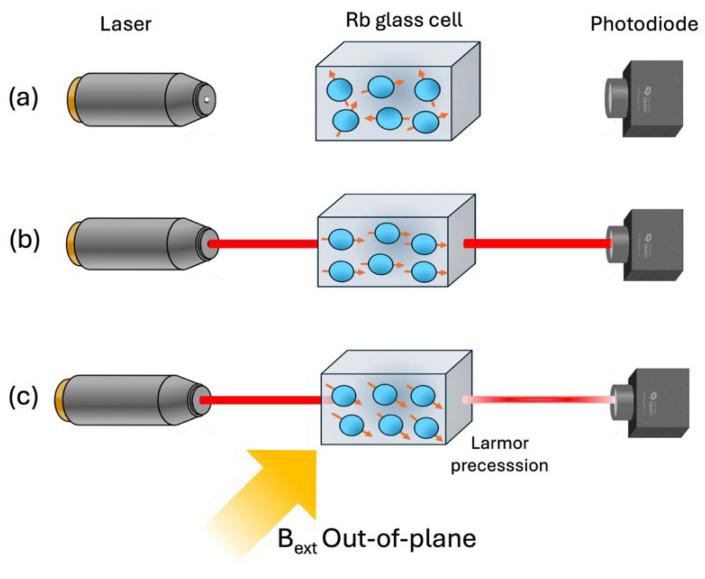 https://cdn.ncbi.nlm.nih.gov/pmc/blobs/8fce/12349212/d30f56bff3f4/sensors-25-04625-g012.jpg