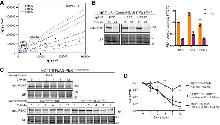 https://cdn.ncbi.nlm.nih.gov/pmc/blobs/8fe8/12147174/7ee0e6db0679/gr6.jpg