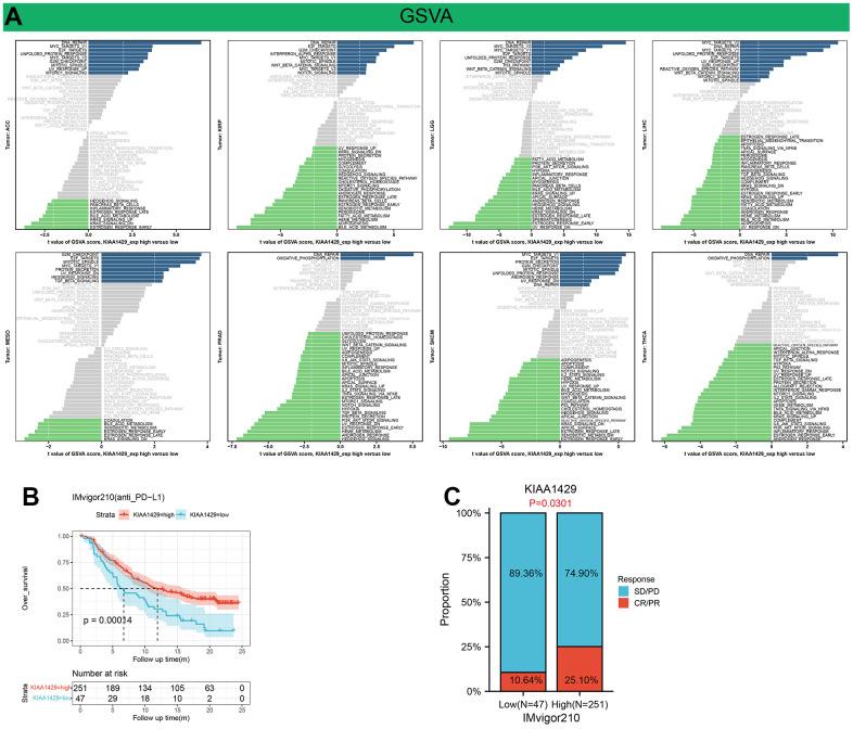 https://cdn.ncbi.nlm.nih.gov/pmc/blobs/9018/10522386/4e0a120f9d49/aging-15-204968-g006.jpg
