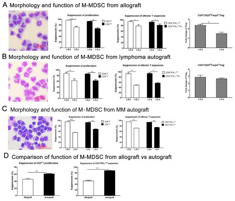 https://cdn.ncbi.nlm.nih.gov/pmc/blobs/9022/11429538/0d18d97b55f8/cells-13-01545-g004.jpg