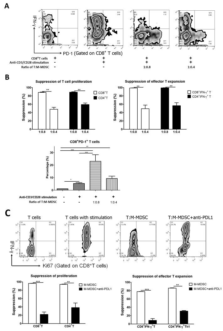 https://cdn.ncbi.nlm.nih.gov/pmc/blobs/9022/11429538/80526bb6c347/cells-13-01545-g005.jpg