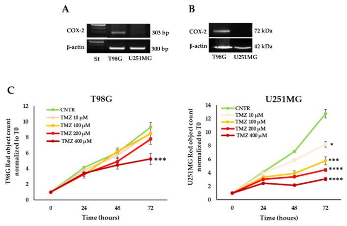 https://cdn.ncbi.nlm.nih.gov/pmc/blobs/9025/8835858/ffcf76e6e0be/ijms-23-01545-g001.jpg