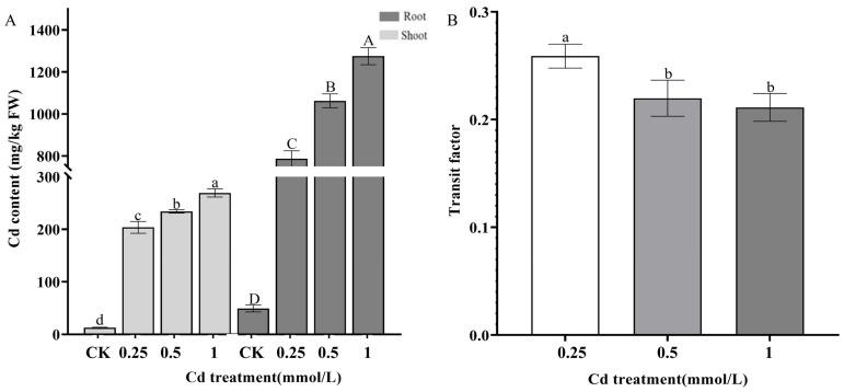 https://cdn.ncbi.nlm.nih.gov/pmc/blobs/9026/10742500/4b37dabe19a3/genes-14-02224-g003.jpg