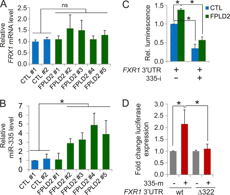 https://cdn.ncbi.nlm.nih.gov/pmc/blobs/9030/5584164/743cbf16d8a5/JCB_201701043_Fig1.jpg