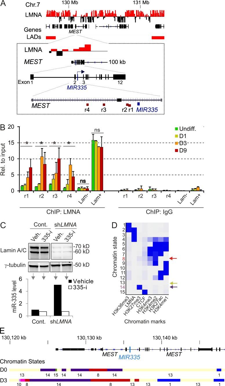 https://cdn.ncbi.nlm.nih.gov/pmc/blobs/9030/5584164/ad2a7b0e53c7/JCB_201701043_Fig4.jpg