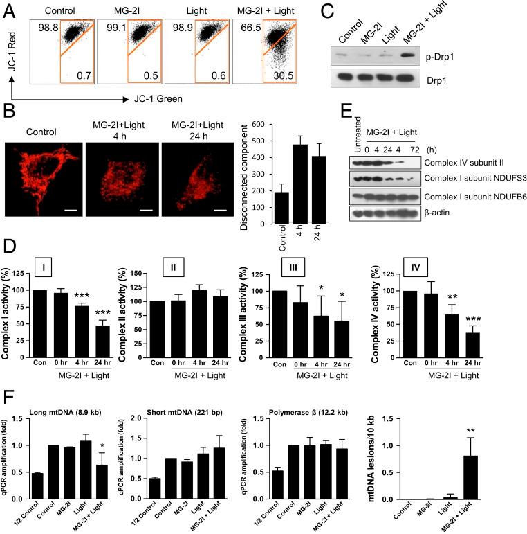 https://cdn.ncbi.nlm.nih.gov/pmc/blobs/9031/6744920/427b58017040/pnas.1910574116fig02.jpg