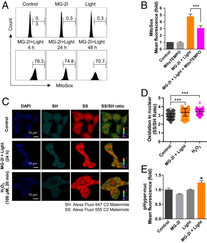 https://cdn.ncbi.nlm.nih.gov/pmc/blobs/9031/6744920/77f73088a02e/pnas.1910574116fig03.jpg