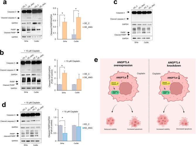 https://cdn.ncbi.nlm.nih.gov/pmc/blobs/90a7/12019591/bfdec933f246/41598_2025_99136_Fig5_HTML.jpg