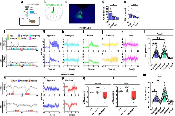 https://cdn.ncbi.nlm.nih.gov/pmc/blobs/90bb/11483125/13a8d261b2af/elife-96543-fig4.jpg