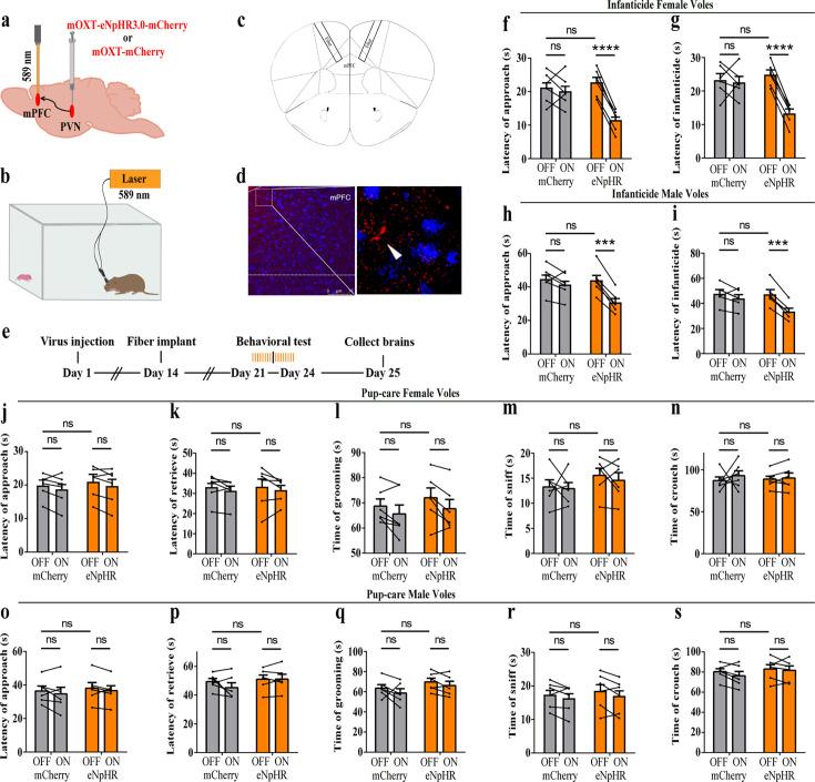 https://cdn.ncbi.nlm.nih.gov/pmc/blobs/90bb/11483125/48c8c77e25e0/elife-96543-fig7.jpg