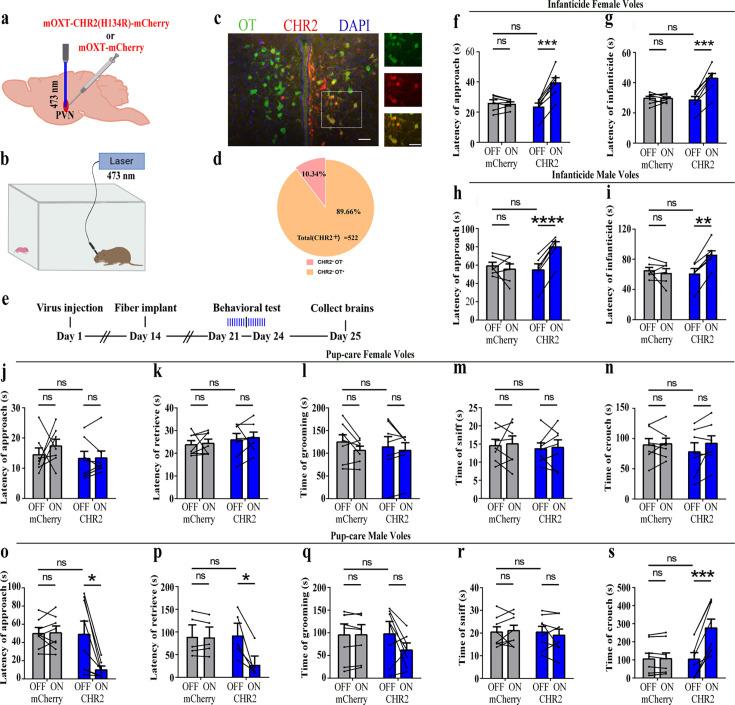 https://cdn.ncbi.nlm.nih.gov/pmc/blobs/90bb/11483125/b2bc2e81c72d/elife-96543-fig2.jpg