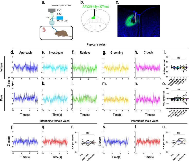 https://cdn.ncbi.nlm.nih.gov/pmc/blobs/90bb/11483125/fa7161246390/elife-96543-fig4-figsupp1.jpg