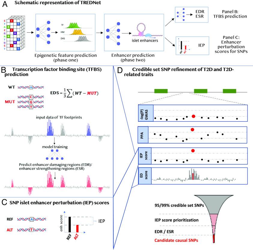 https://cdn.ncbi.nlm.nih.gov/pmc/blobs/90c0/10469333/bccdf22f9626/pnas.2206612120fig01.jpg
