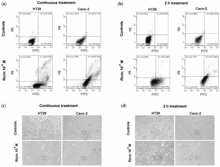 https://cdn.ncbi.nlm.nih.gov/pmc/blobs/90c4/12389787/4b5082f52f6c/toxins-17-00400-g003.jpg