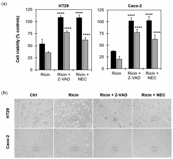 https://cdn.ncbi.nlm.nih.gov/pmc/blobs/90c4/12389787/b0210f882e19/toxins-17-00400-g004.jpg