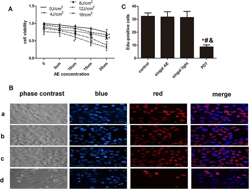 https://cdn.ncbi.nlm.nih.gov/pmc/blobs/90c4/6071160/4bacc56e9dd2/10.1177_1533033818785512-fig1.jpg