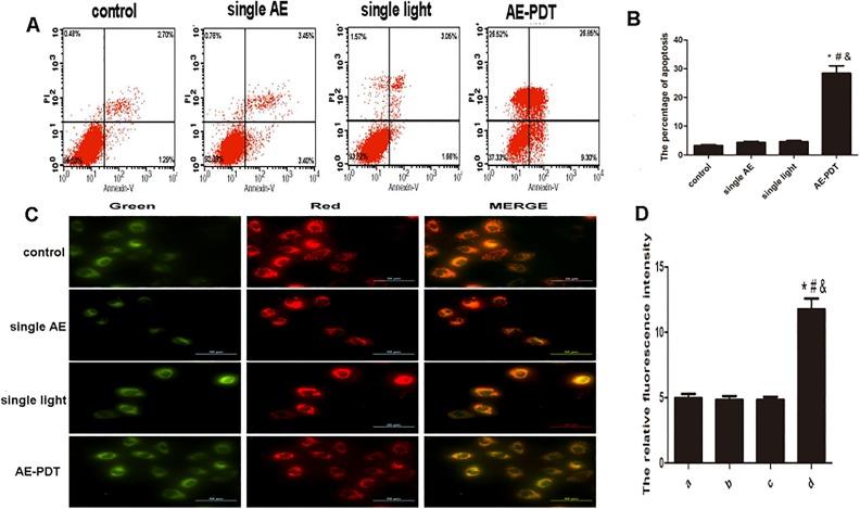 https://cdn.ncbi.nlm.nih.gov/pmc/blobs/90c4/6071160/d6d65e08bcc7/10.1177_1533033818785512-fig2.jpg