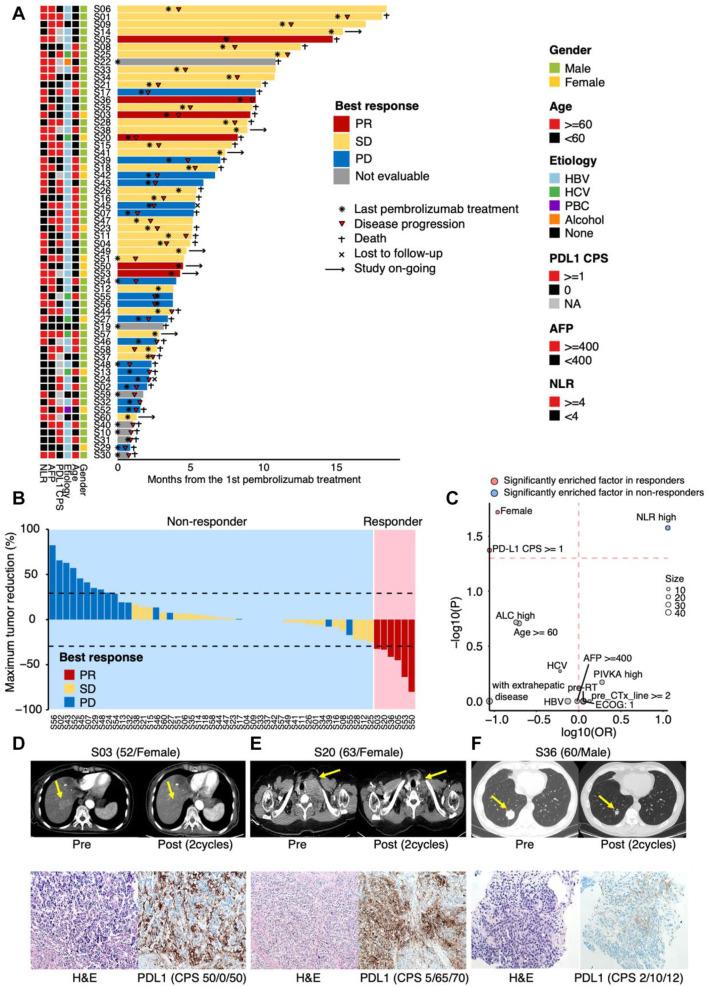 https://cdn.ncbi.nlm.nih.gov/pmc/blobs/90cf/8734300/50adcf733e8b/13073_2021_995_Fig1_HTML.jpg