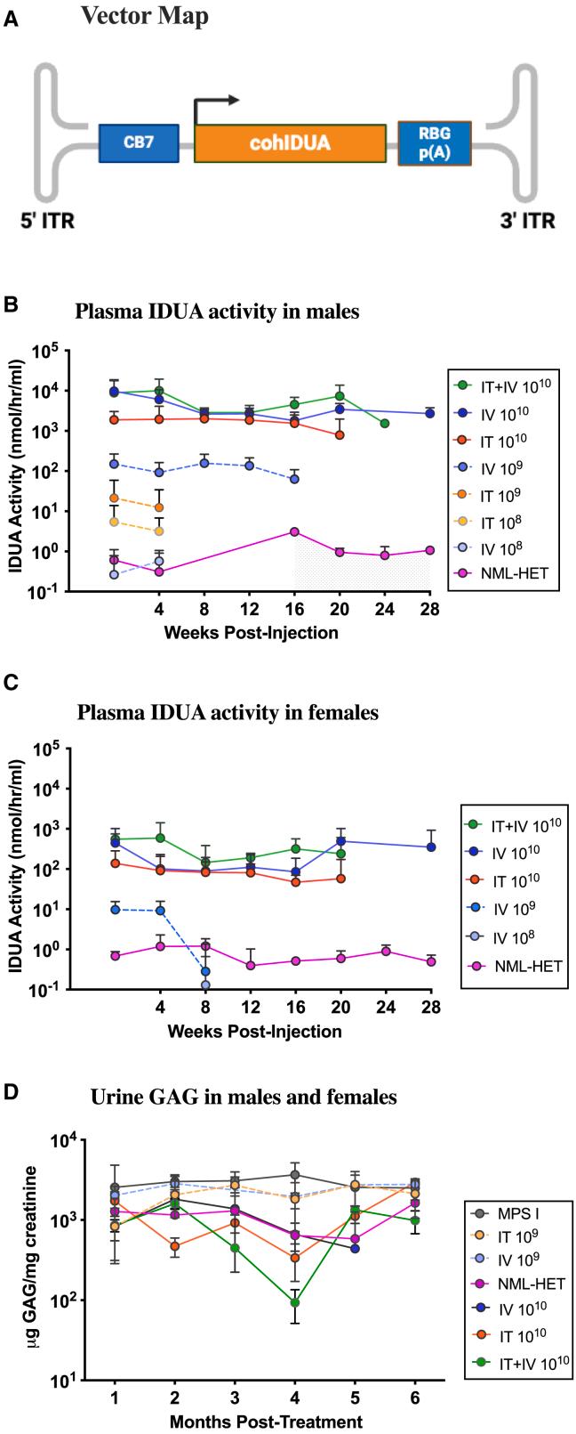 https://cdn.ncbi.nlm.nih.gov/pmc/blobs/90f3/11646787/b64a86a5cfa7/gr1.jpg
