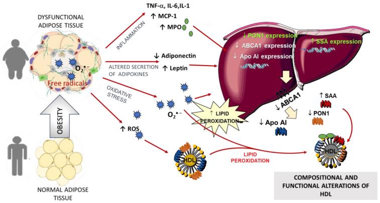https://cdn.ncbi.nlm.nih.gov/pmc/blobs/9104/11677490/a583a727c97d/molecules-29-05955-g002.jpg