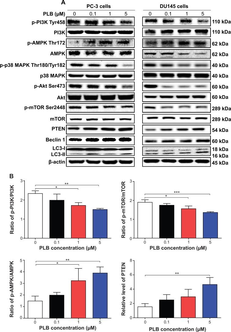 https://cdn.ncbi.nlm.nih.gov/pmc/blobs/910a/4366042/7be4072f8338/dddt-9-1511Fig5.jpg