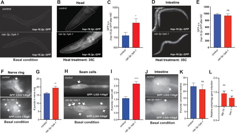https://cdn.ncbi.nlm.nih.gov/pmc/blobs/9117/10393298/a7ac7af0a136/elife-85792-fig6.jpg