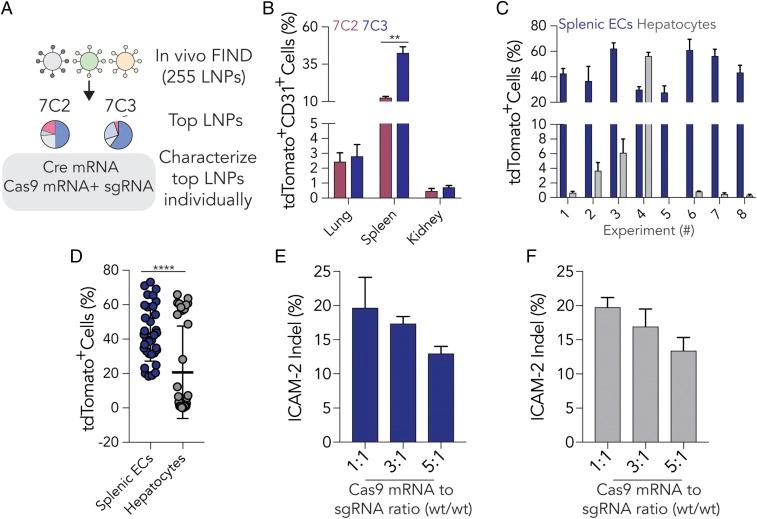 https://cdn.ncbi.nlm.nih.gov/pmc/blobs/912c/6196543/8858e806d88b/pnas.1811276115fig04.jpg