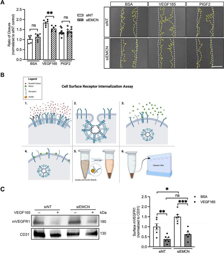 https://cdn.ncbi.nlm.nih.gov/pmc/blobs/9163/11007909/6e1aed203612/12964_2024_1606_Fig4_HTML.jpg