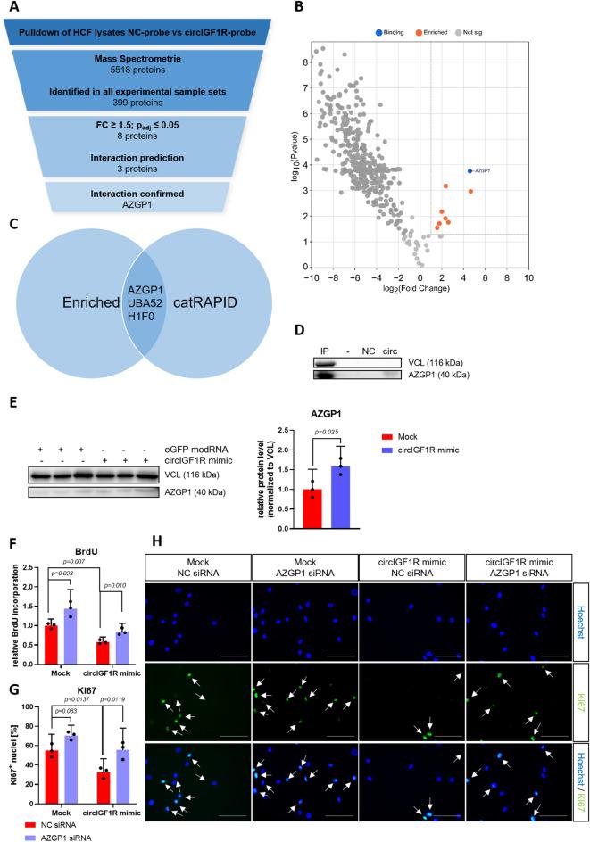 https://cdn.ncbi.nlm.nih.gov/pmc/blobs/918c/12205068/60fcfe2ee4db/41598_2025_7167_Fig7_HTML.jpg