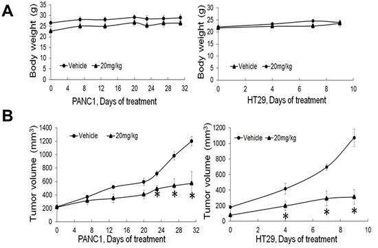 https://cdn.ncbi.nlm.nih.gov/pmc/blobs/919a/5522311/9e141bb8fea8/oncotarget-08-39963-g006.jpg