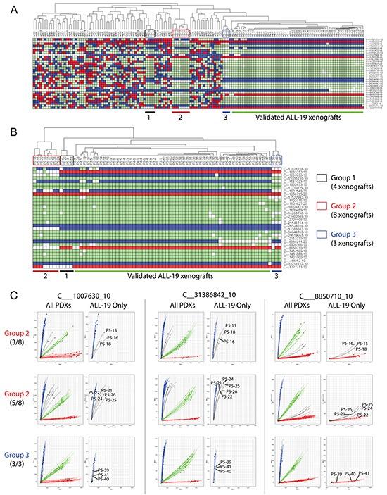 https://cdn.ncbi.nlm.nih.gov/pmc/blobs/919e/5312397/96e7904d855d/oncotarget-07-60475-g004.jpg