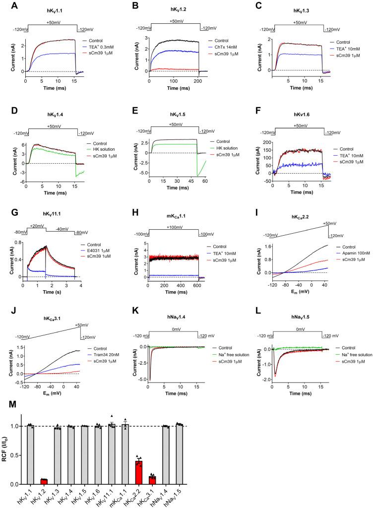 https://cdn.ncbi.nlm.nih.gov/pmc/blobs/91a5/9866218/b2f8fc768187/toxins-15-00041-g003.jpg