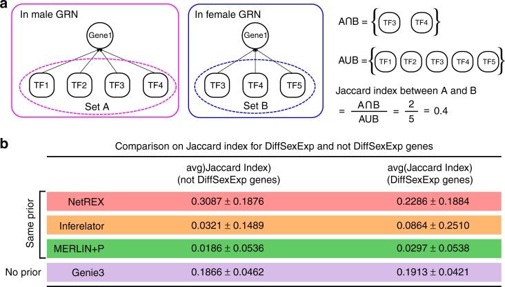 https://cdn.ncbi.nlm.nih.gov/pmc/blobs/91aa/6170494/ff2f7ba0b042/41467_2018_6382_Fig5_HTML.jpg