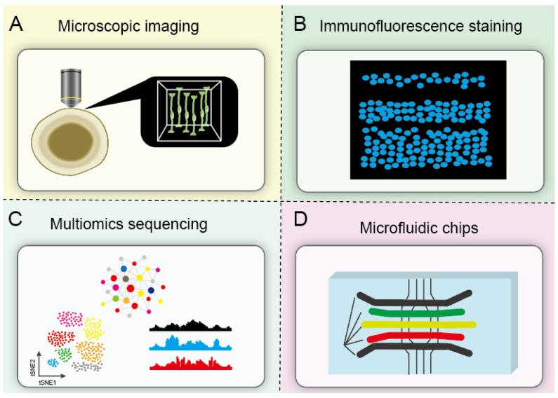 https://cdn.ncbi.nlm.nih.gov/pmc/blobs/91b1/12025065/30e1034f674b/bioengineering-12-00393-g002.jpg