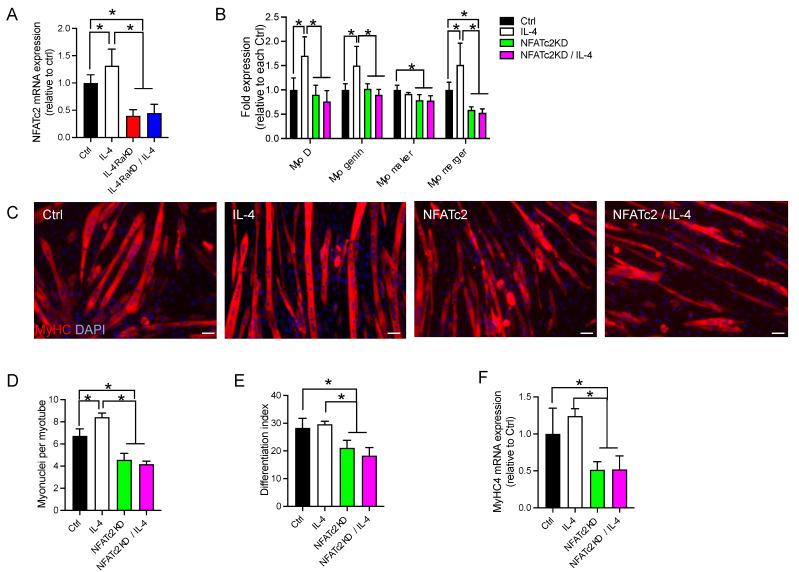 https://cdn.ncbi.nlm.nih.gov/pmc/blobs/91b6/10177410/71e412343054/cells-12-01284-g006.jpg
