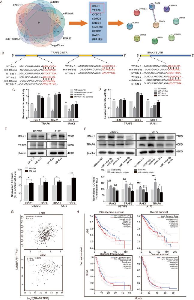 https://cdn.ncbi.nlm.nih.gov/pmc/blobs/91c2/10313823/0fba394fcbb3/41420_2023_1492_Fig4_HTML.jpg