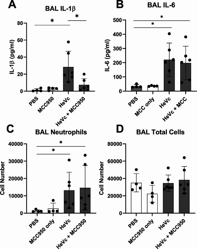 https://cdn.ncbi.nlm.nih.gov/pmc/blobs/91c2/10636811/29df1c2de4d8/12950_2023_365_Fig4_HTML.jpg