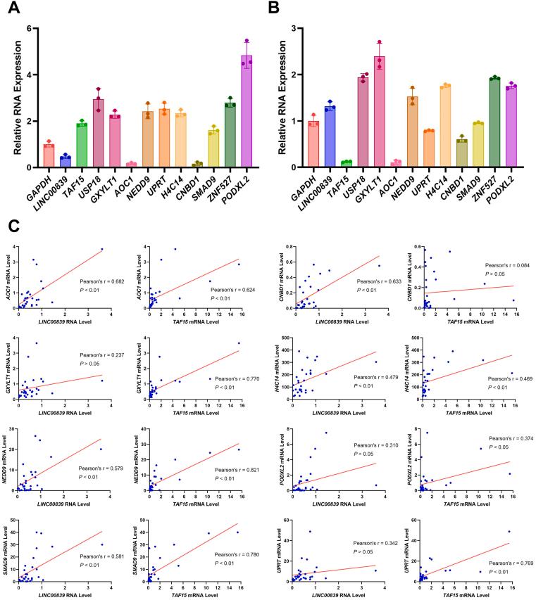 https://cdn.ncbi.nlm.nih.gov/pmc/blobs/91c5/10302167/1b1ff2d45d64/figs5.jpg